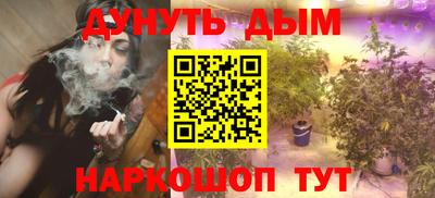 индика Ирбит