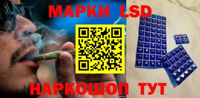 амф Камышлов