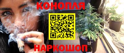 индика Ирбит