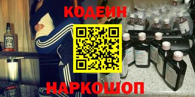 амф Камышлов