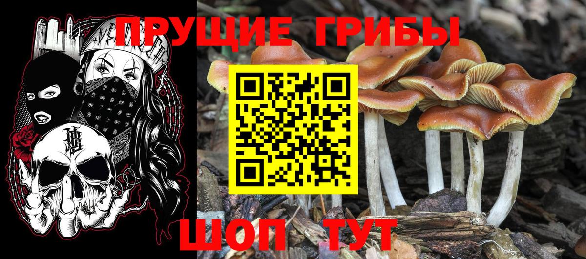 Псилоцибиновые грибы MAGIC MUSHROOMS  Галлюциногенные грибы мухоморы  Вход с VPN  Красноярск 
