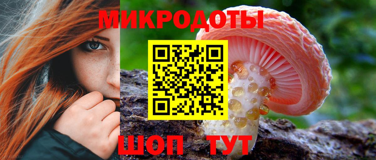 А ПВП Красноярск